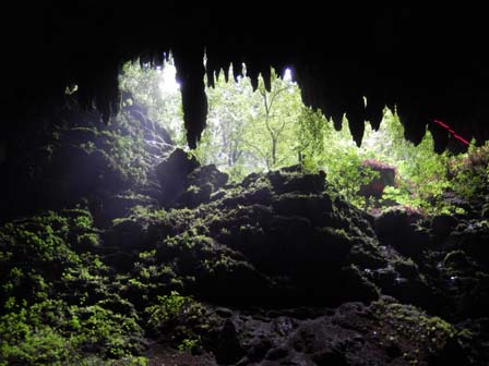 room 2 image